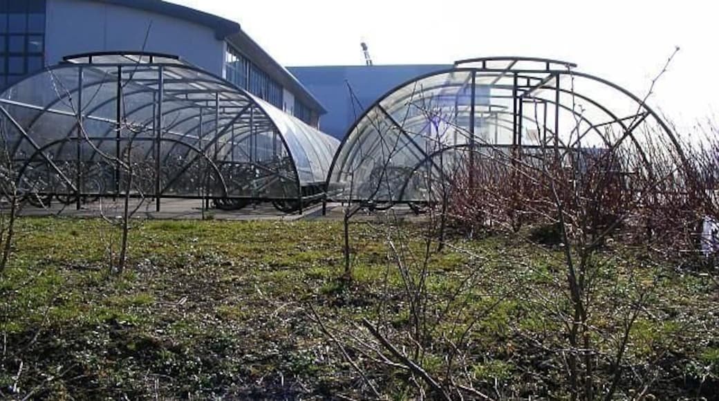 Burnside School - Cycle sheds In this case there is absolutely no point in meeting behind the bike sheds!