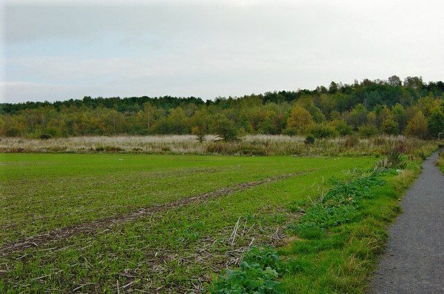 Rising Sun Country Park This is the re-modelled shale heap on its more attractive side.
