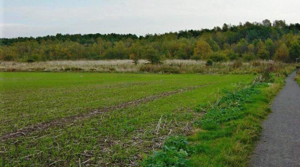 Rising Sun Country Park This is the re-modelled shale heap on its more attractive side.
