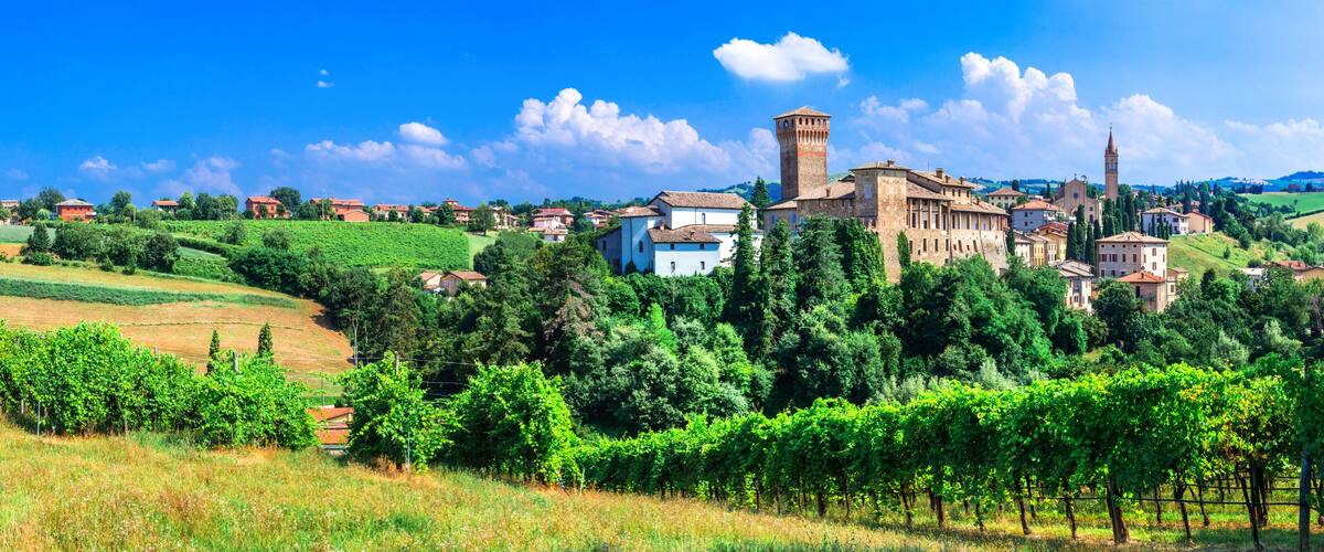 A historic town with a prominent tower, vineyards, and rolling hills.