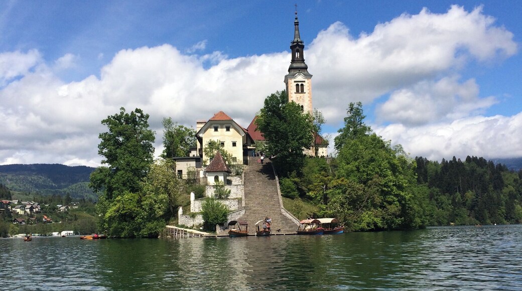 The best way to get on to Bled Island is to hire a row boat (around 10 euros per hour) and row yourself over.