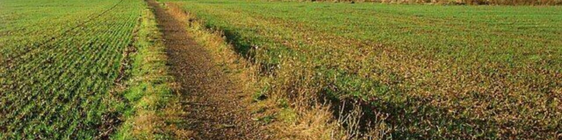 Footpath to Lolworth from Bar Hill This surfaced path provides good walking even in the wettest of winters when fields are waterlogged.