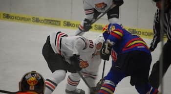 Ice Hockey is a great sport to watch, especially in Czech Republic.
Get yourself along to watch HC Motor when you are in České Budějovice.
=M=