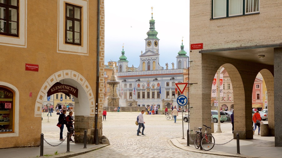Ceske Budejovice which includes a square or plaza and a city