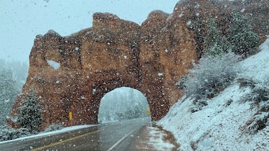 Entrance to Bryce Canyon