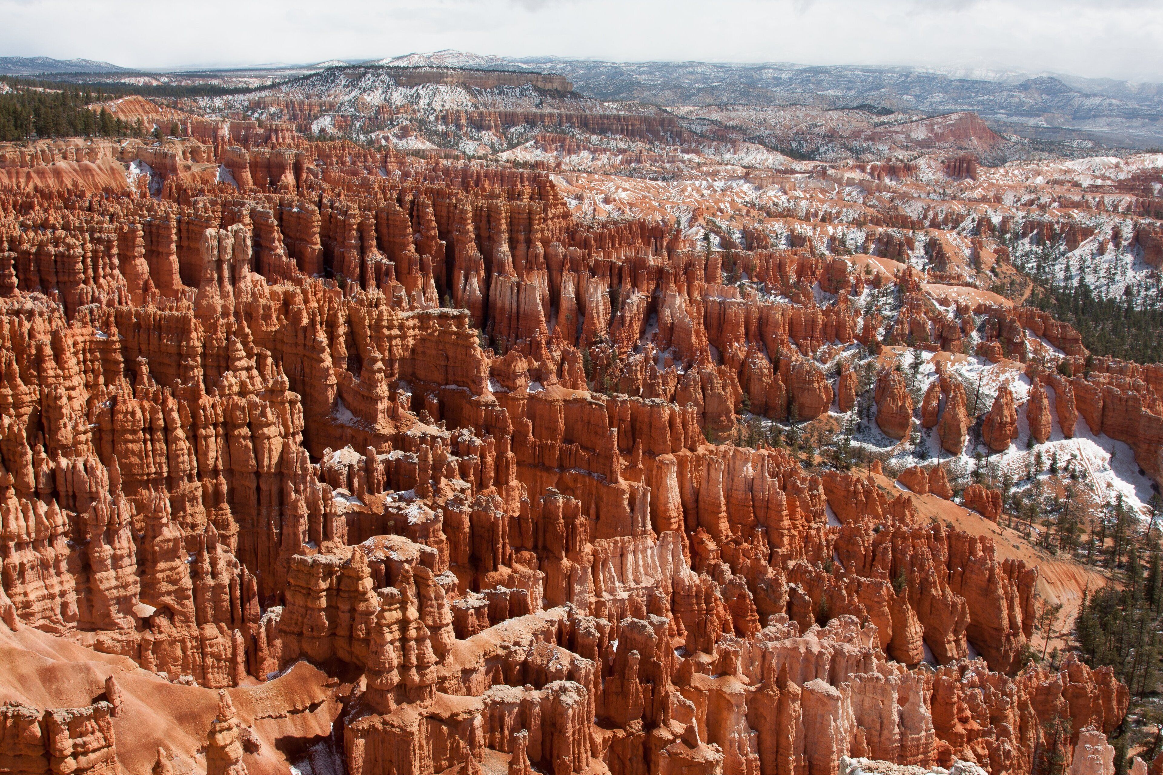 0_ec6219a2-366f-43af-bd33-0f2004e5a240_raw