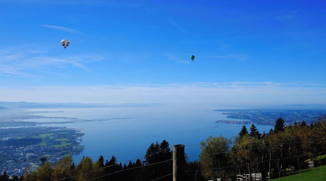 Climb up the mountain from the center of Bregenz, Austria, and be rewarded with a unique view: 3 countries all in your field of vision. Switzerland to your left, Germany to your right, Austria under your feet, and the Bodensee/Lake Constance right in front of you. The hike itself is gorgeous and takes about 3 hours up/2 down through trees, glimpses of the final view, a peek at some Swiss Alps, and through some "wildlife" (I'm talking cows!). If hiking isn't your style, there's a lift to take you to the top. If you are in the area, it would be a shame to miss such a sight! #hiking