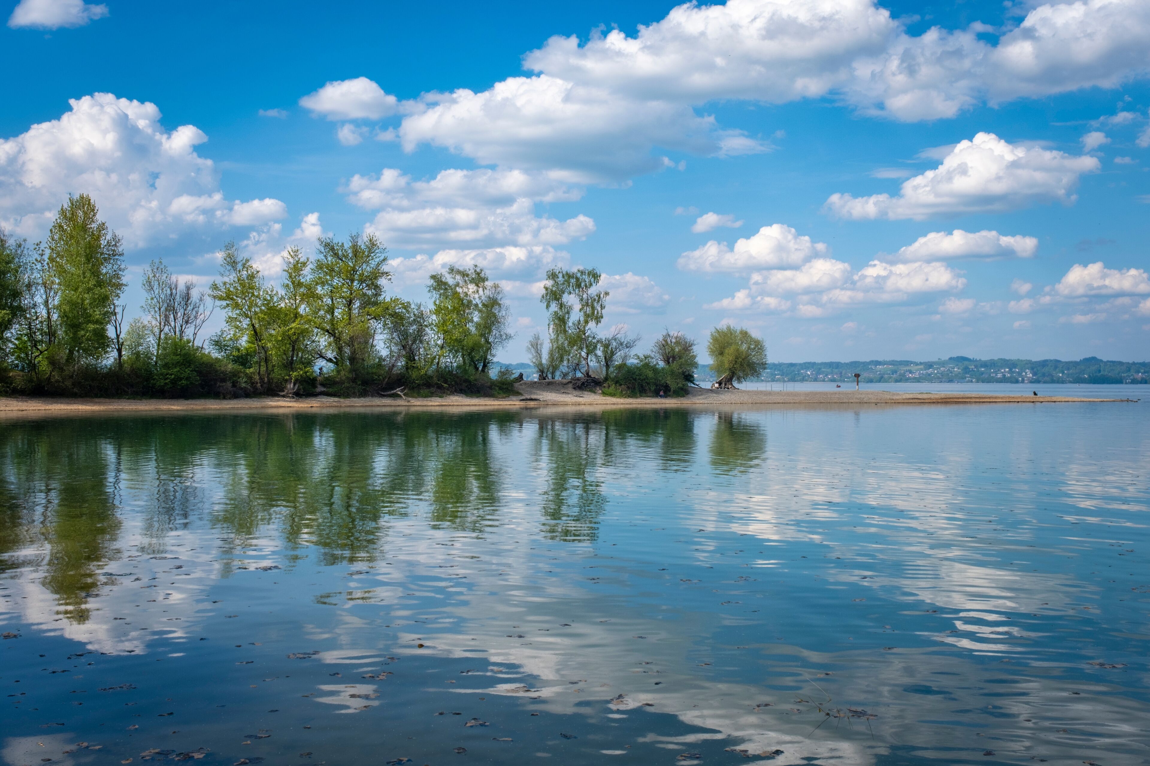 Un río tranquilo que refleja árboles y un cielo despejado.