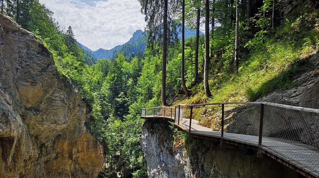 nice place to see for a walk.