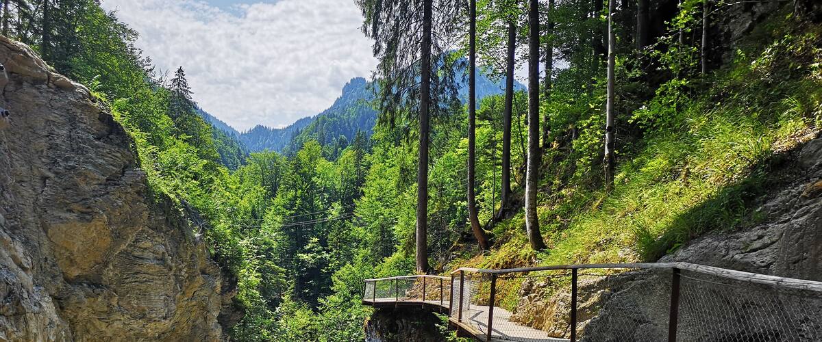 A wooden bridge over a rocky gorge with a forested valley below.