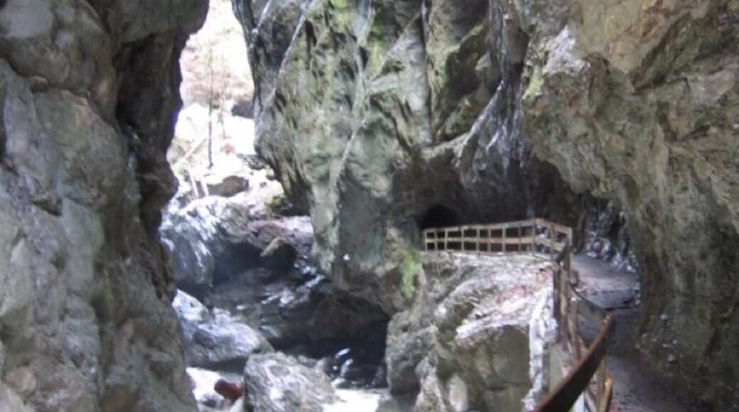 Rappenlochschlucht. Makes you respect the trail.