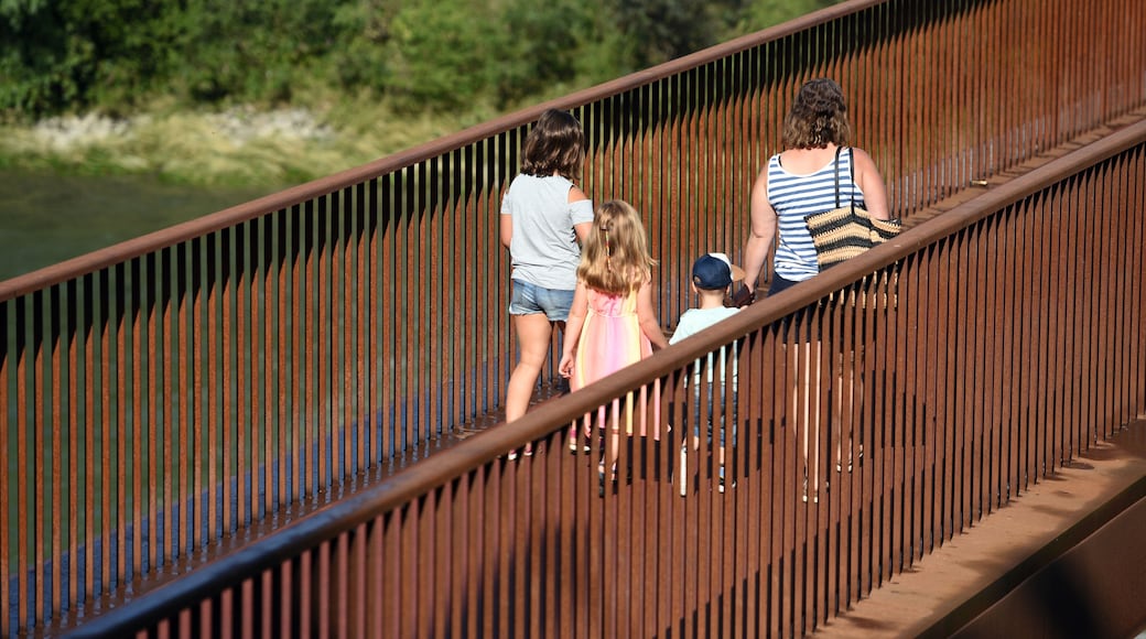 Brücke "Ennssteg" in Steyr, Oberösterreich, Österreich, Europa