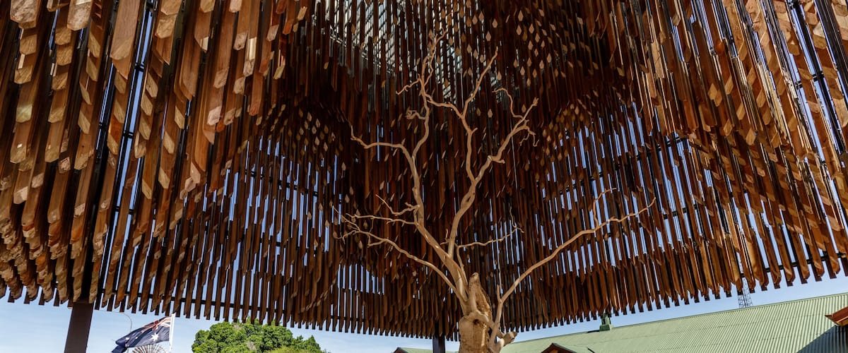 A tree with a unique wooden canopy structure in an urban setting.
