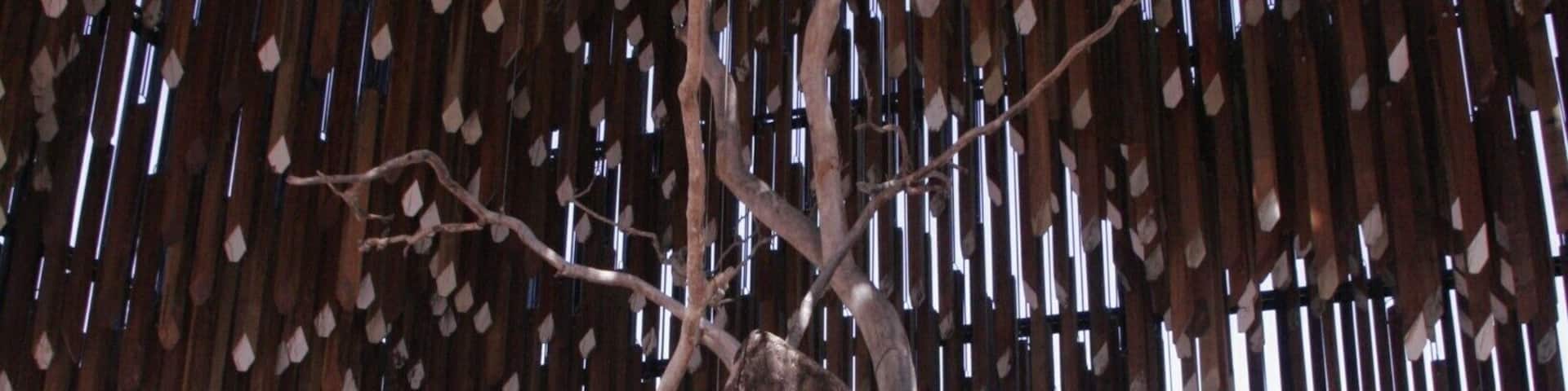 This poor old tree, once a glorious ghost gum, stands at the birthplace of the Australian Labor Party. It was first sick and then poisoned in the 90s in an act of vandalism. This memorial was built around it and all the long timbers above it form a huge wooden wind chime. I love the sound of it in a breeze. Barcaldine is a typical Queensland town, pub on every corner and excellent old school local bakeries :) I feel at home somewhere like this.