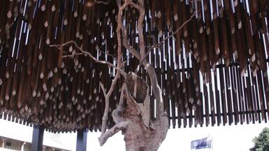This poor old tree, once a glorious ghost gum, stands at the birthplace of the Australian Labor Party. It was first sick and then poisoned in the 90s in an act of vandalism. This memorial was built around it and all the long timbers above it form a huge wooden wind chime. I love the sound of it in a breeze. Barcaldine is a typical Queensland town, pub on every corner and excellent old school local bakeries :) I feel at home somewhere like this.