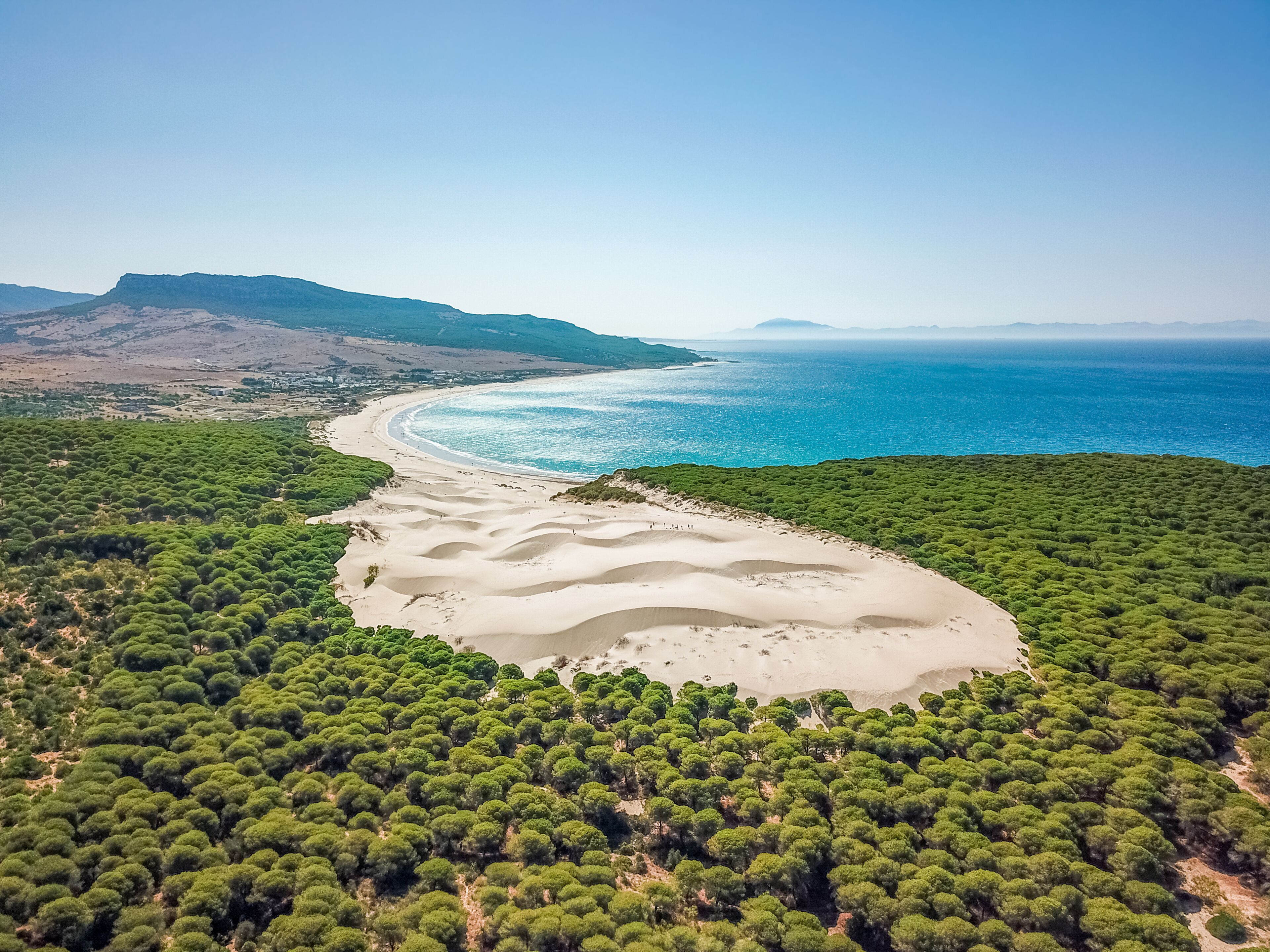 Aerial view of the dunes and the forest on the beach of Bolonia, Spain.