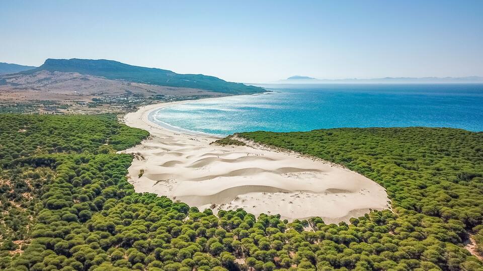 A coastal landscape with a sandy beach, dense green forest, and a clear blue sea.
