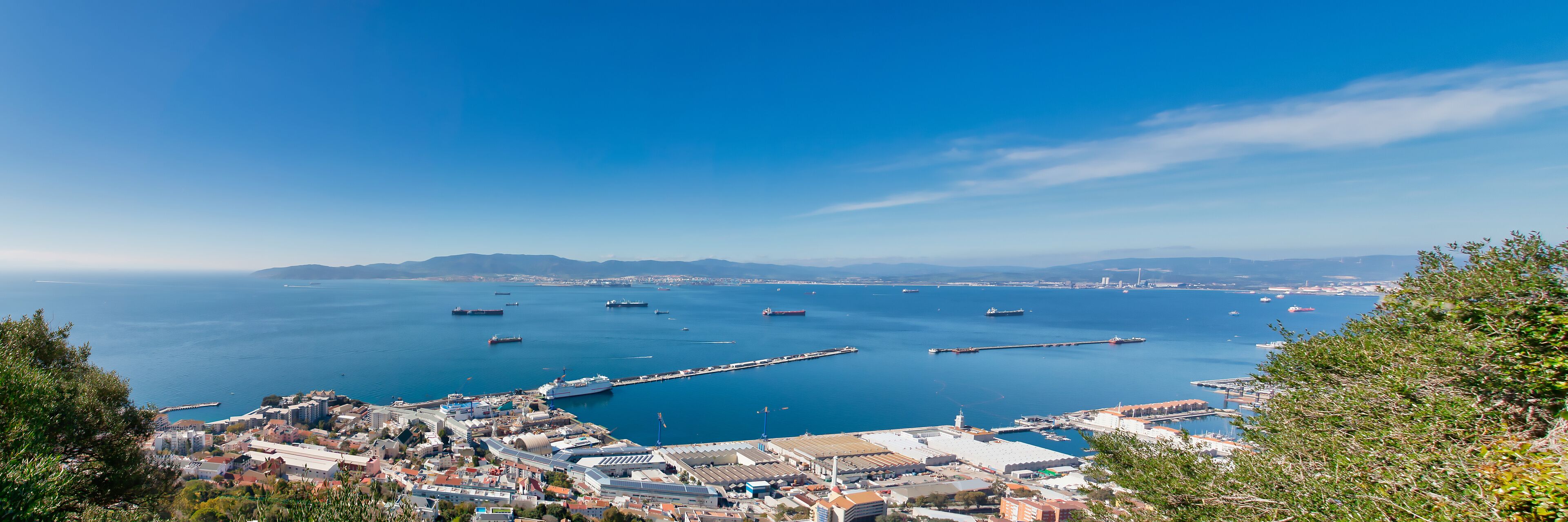 Algeciras
