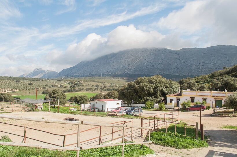 Lobo Park, Antequera.

#spain #animals ##landscape #travel #places #park #view 