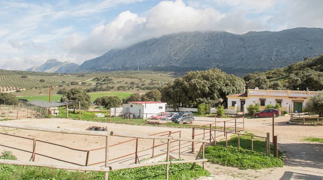 Lobo Park, Antequera.
#spain #animals ##landscape #travel #places #park #view