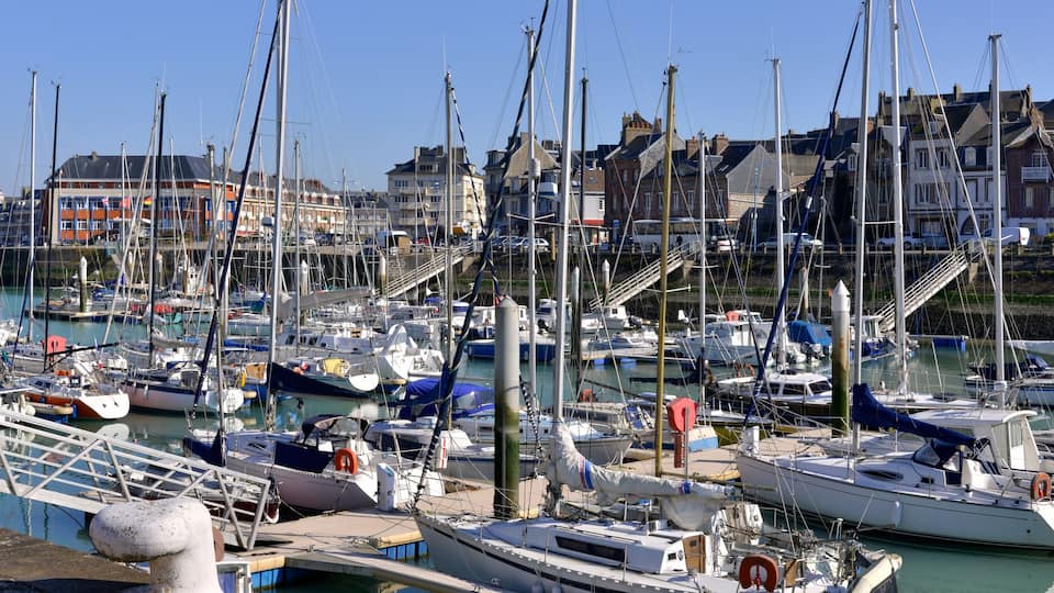 A marina with numerous sailboats docked, a bridge in the background, and buildings along the waterfront.