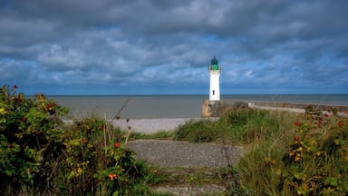 The Saint-Valery-en-Caux Lighthouse is a navigational aid that was completed in 1872. The lighthouse is a monument in the municipality of Saint-Valery-en-Caux (Seine-Maritime, Normandy). It is an attraction for holidaymakers staying in the region.
It has two green flashes every 6 seconds (eclipses of 1 and 3 seconds), visible for 14 nautical miles.
#France #Lighthouse
#trovember