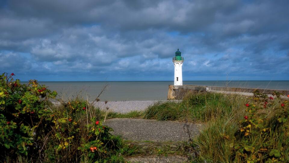 A white lighthouse with a green top, surrounded by greenery and a rocky shoreline.
