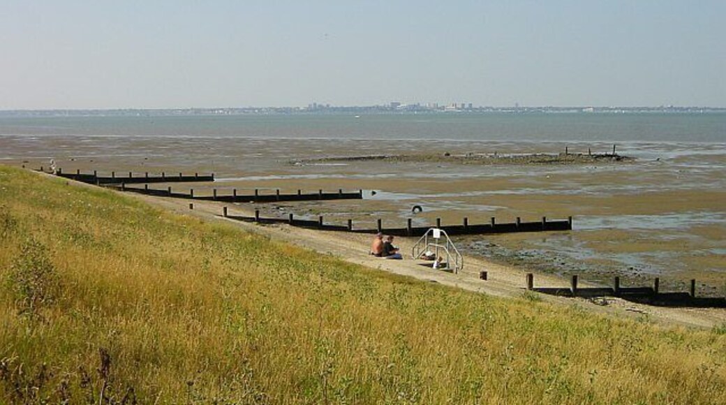 Southend from Grain. Looking north across Roas Bank. The wreck visible in the mud is marked on the map but I know no details.