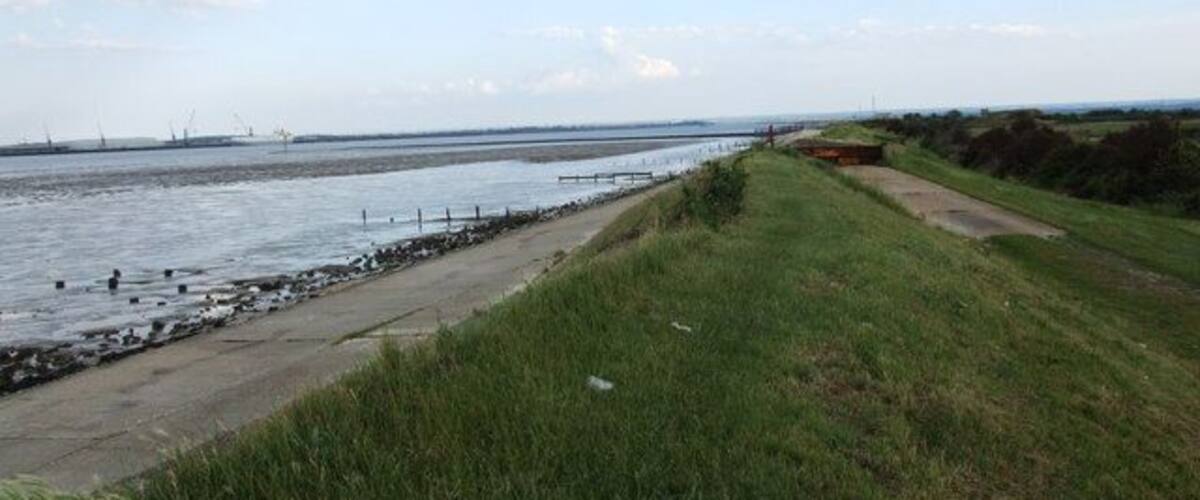 A coastal landscape with a grassy path, a sandy beach, and a calm sea.
