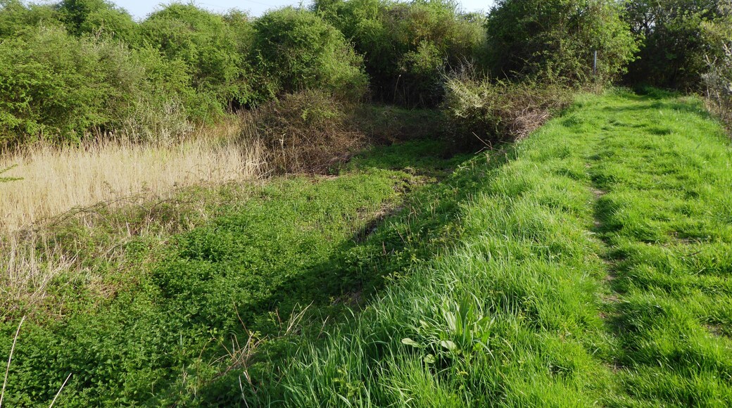 Burham Marsh is a nature reserve in a bend in the River Medway north of Maidstone in Kent. It is part of the Holborough to Burham Marshes Site of Special Scientific Interest, and is managed by the Kent Wildlife Trust.