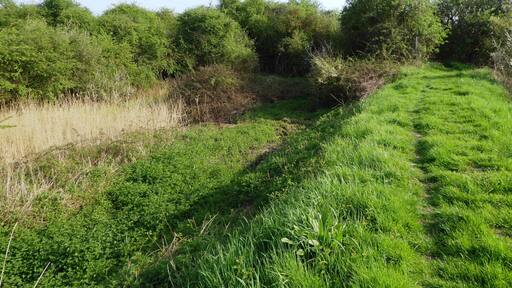 Burham Marsh is a nature reserve in a bend in the River Medway north of Maidstone in Kent. It is part of the Holborough to Burham Marshes Site of Special Scientific Interest, and is managed by the Kent Wildlife Trust.
