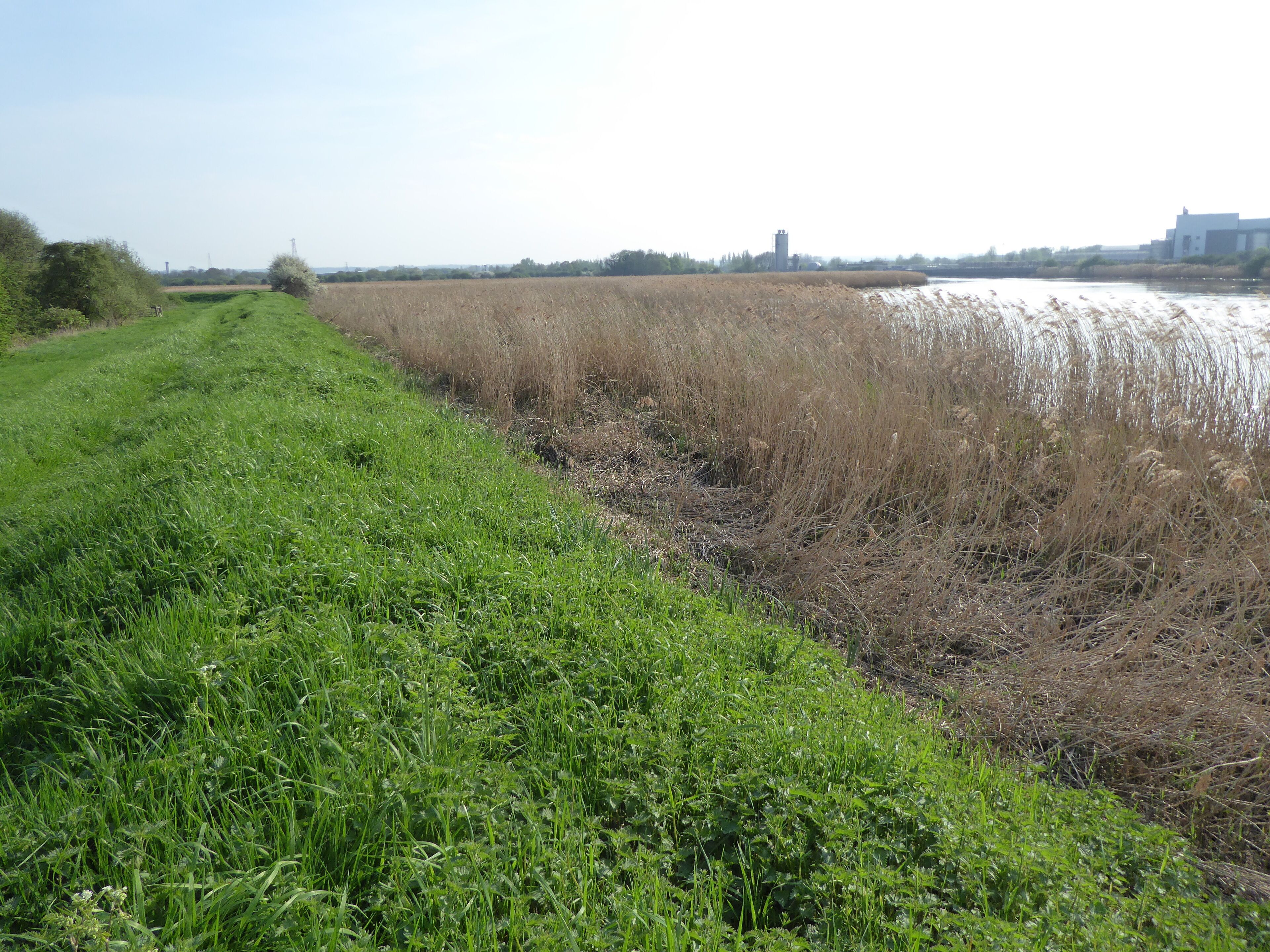 Burham Marsh is a nature reserve in a bend in the River Medway north of Maidstone in Kent. It is part of the Holborough to Burham Marshes Site of Special Scientific Interest, and is managed by the Kent Wildlife Trust.