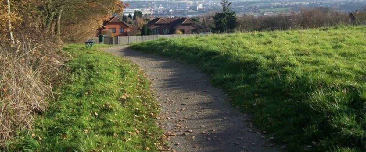 A rural path leading to houses with a clear view of a distant city skyline.