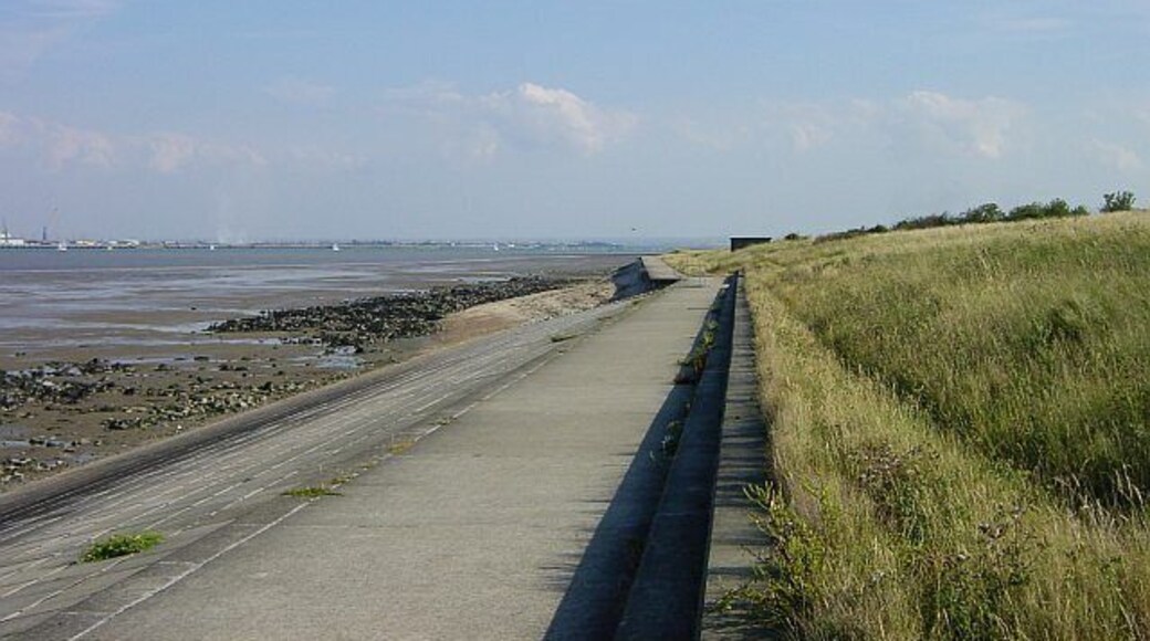 The Medway. Looking south along the shore near Grain. The area between the river/sea/estuary and Grain village is rough grassland and scrub with a few large trees. The earthworks and some remains of Grain Fort and Dummy Battery can be seen (part of the 19th century Chatham Defences).