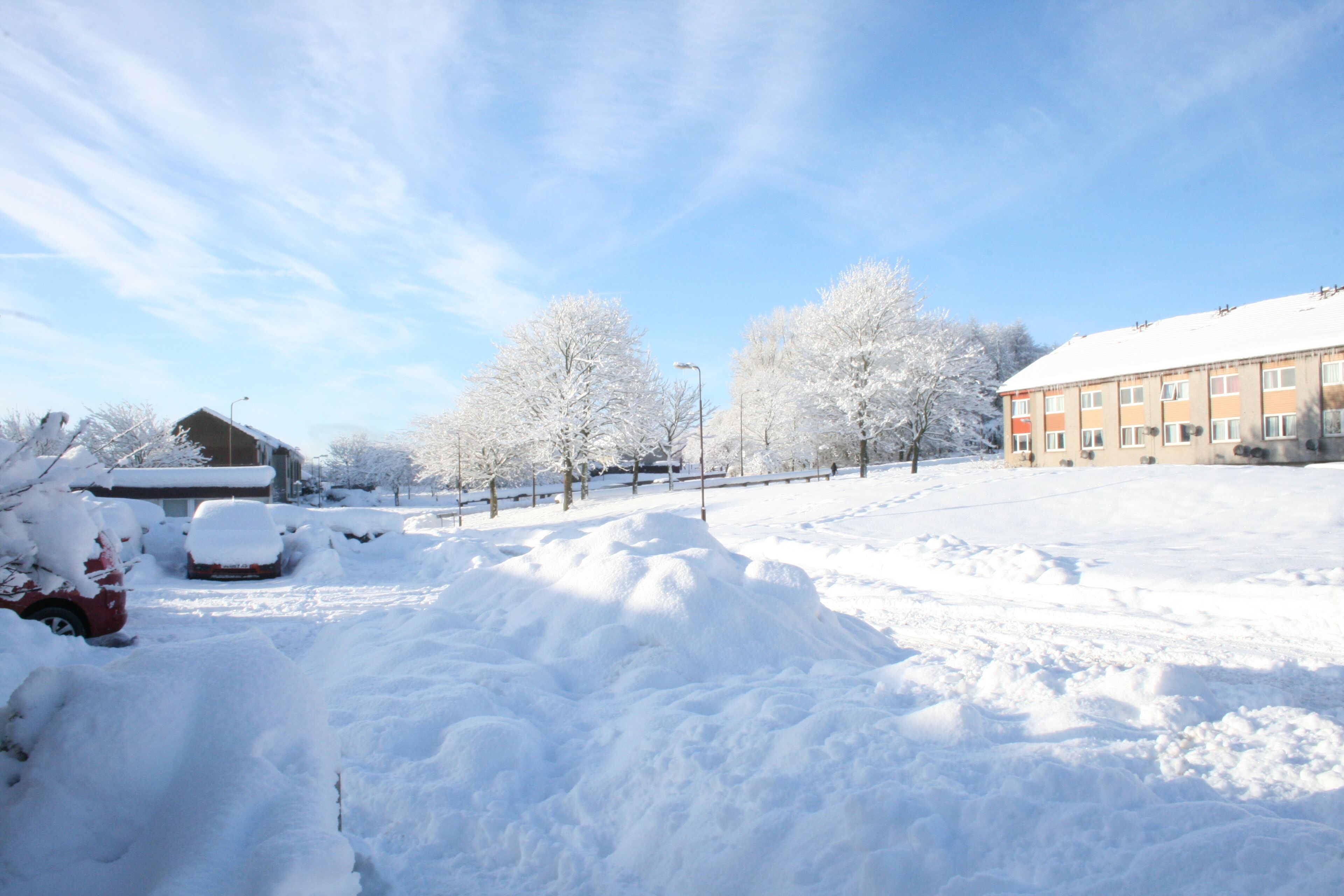 winter in Chestnut Grove