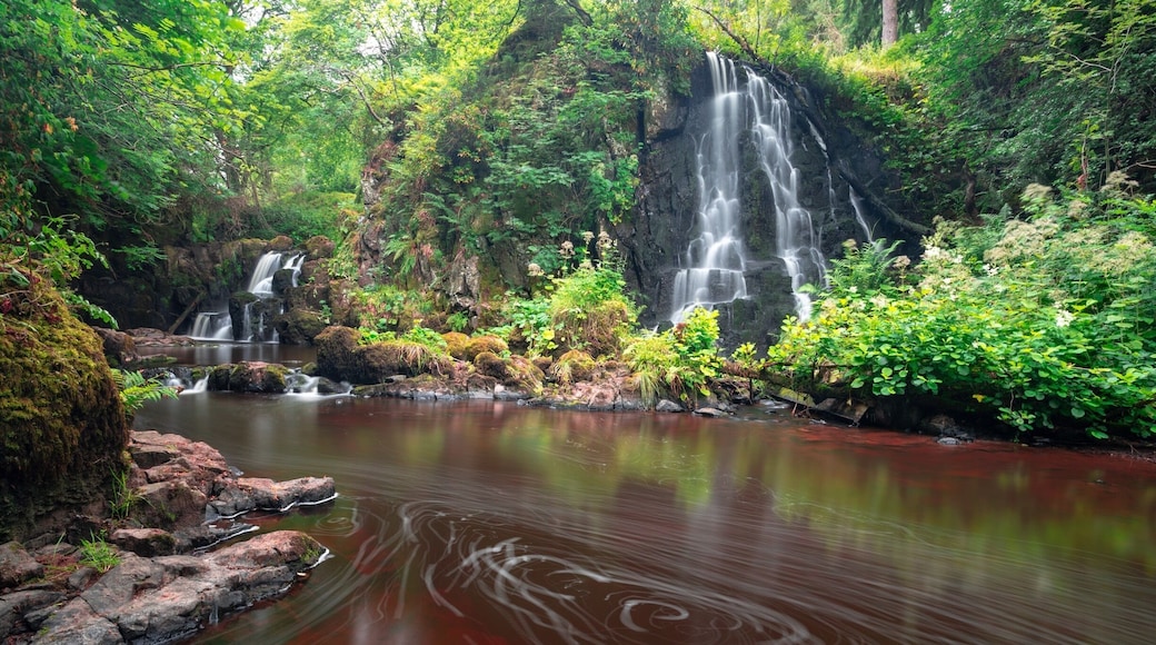 Linn jaw waterfall, near Livingston West Lothian