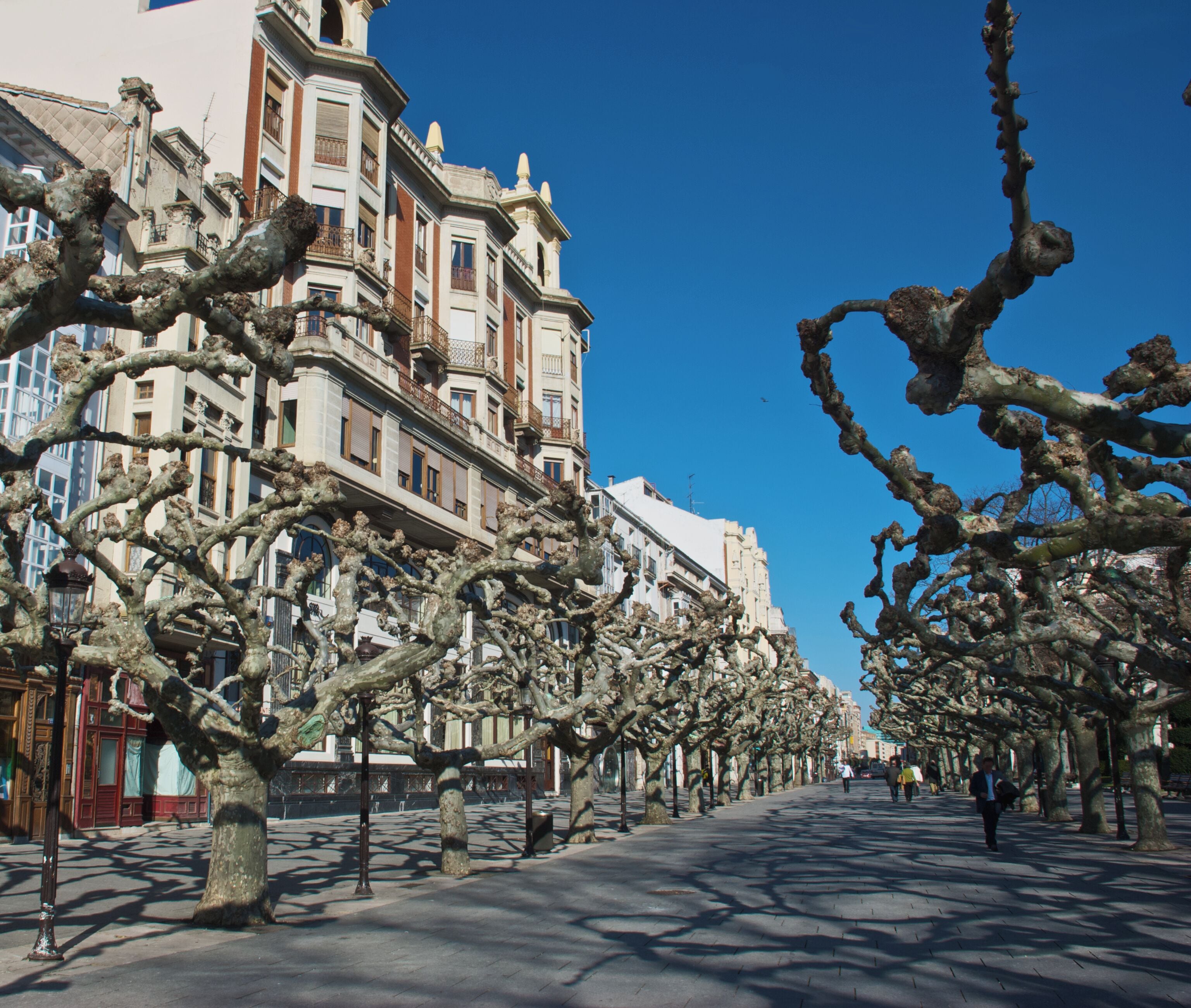 "Picture of El EspolAn walkway, in the city of Burgos, at early afternoon, in a sunny winter day."