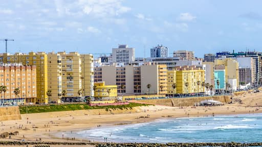 Wide panoramic view of the popular Playa de la Victoria in Cádiz, with its calm waters and golden sand in the sunlight, while the city buildings rise on the horizon