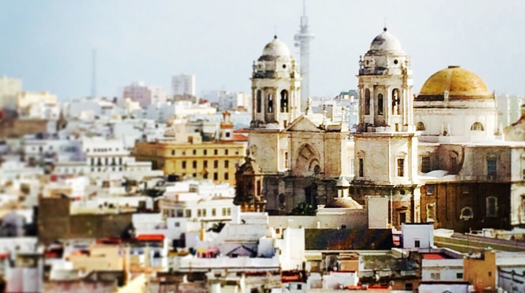 View of Cadiz Cathedral from Torre Tavira. The tower is home to a brilliant camera obscura.
