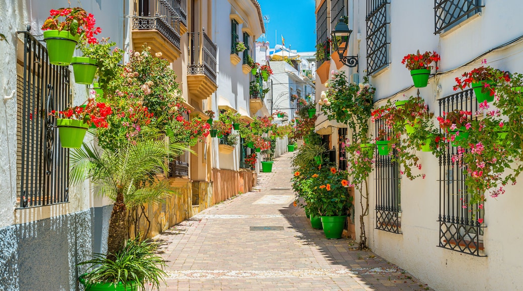 The beautiful Estepona, little and flowery town in the province of Malaga, Spain.