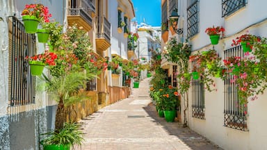 Uma rua estreita ladeada por edifícios, vasos de plantas e flores.