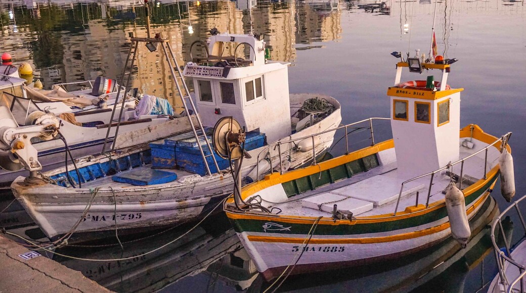 beautiful old fishing boats