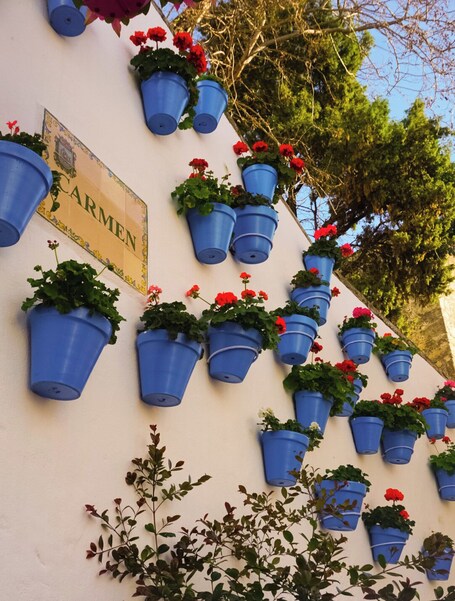 Eine Wand mit vielen blauen Blumentöpfen, einige davon mit roten Blüten, und einem Schild mit der Aufschrift 'CARMEN'.