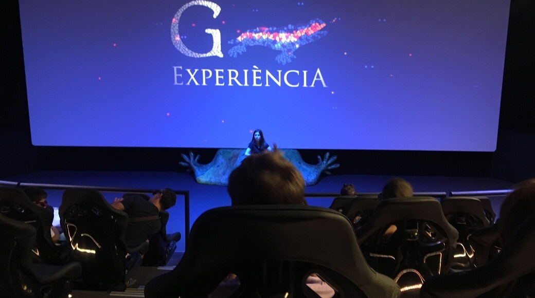 4D experience about Gaidi. I can recommend it's really impressive story about him and his work. Few minutes but I am not sorry for it.