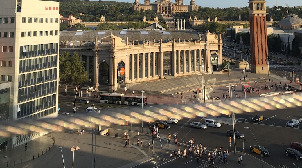 La Nova Esquerra de l'Eixample