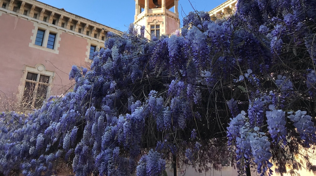 L'Antiga Esquerra de l'Eixample
