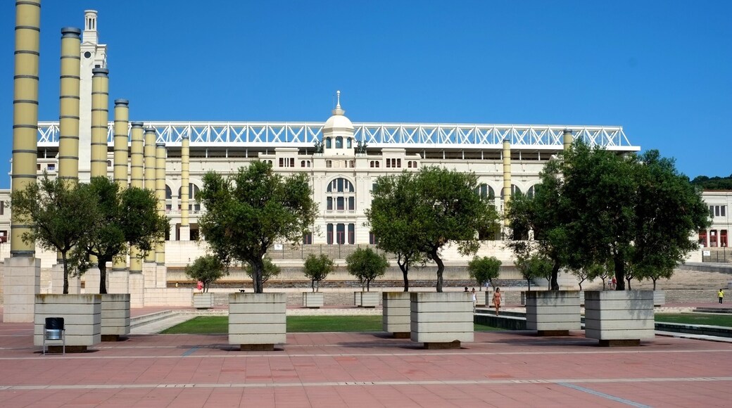 Estadi Olímpic Lluís Companys is a stadium in Barcelona, Catalonia, Spain. Originally built in 1927 for the 1929 International Exposition in the city, it was renovated in 1989 to be the main stadium for the 1992 Summer Olympics.