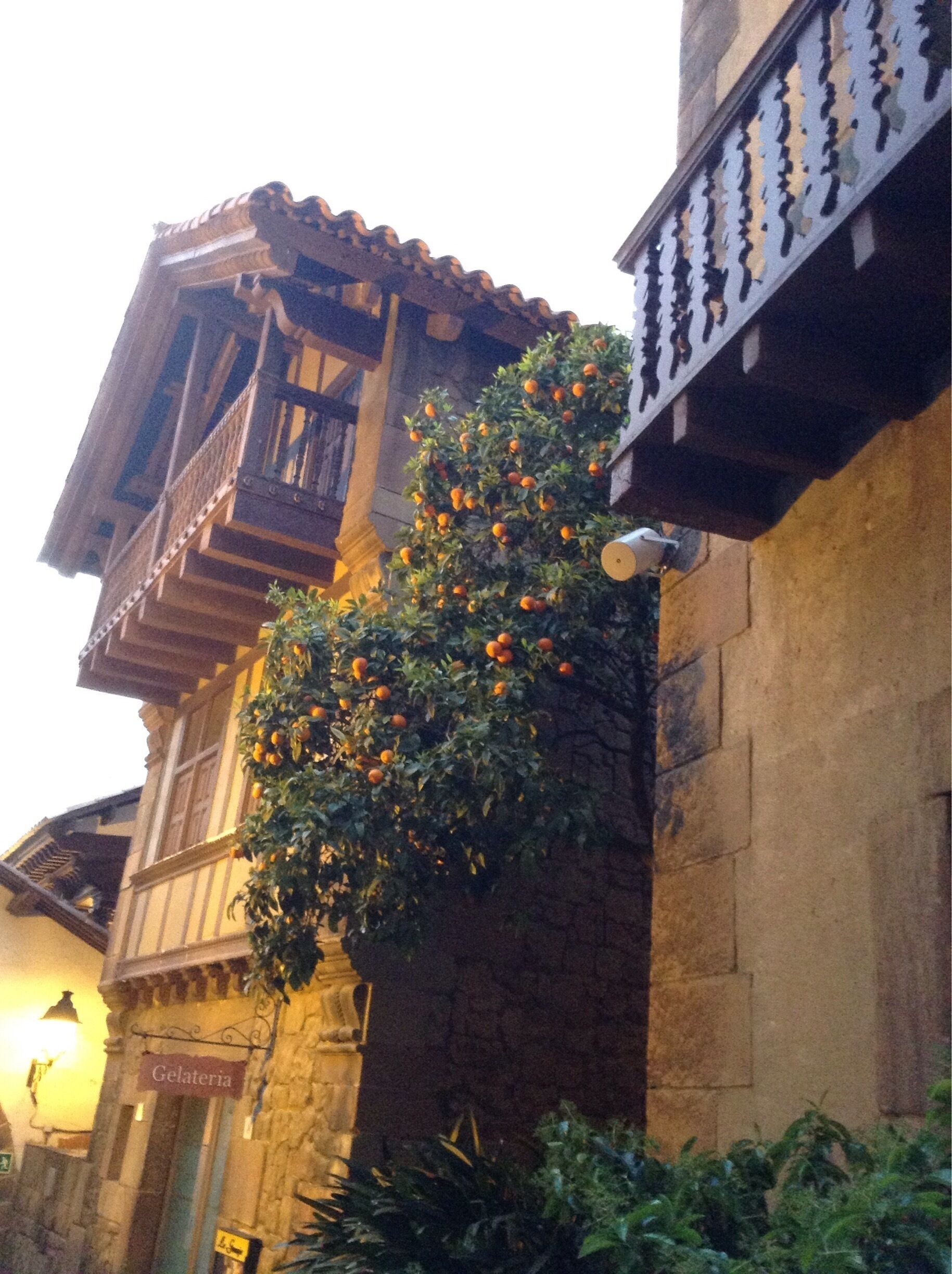 Open air museum, built in 1929 with 117 buildings showcasing Spain's typical regional architecture.