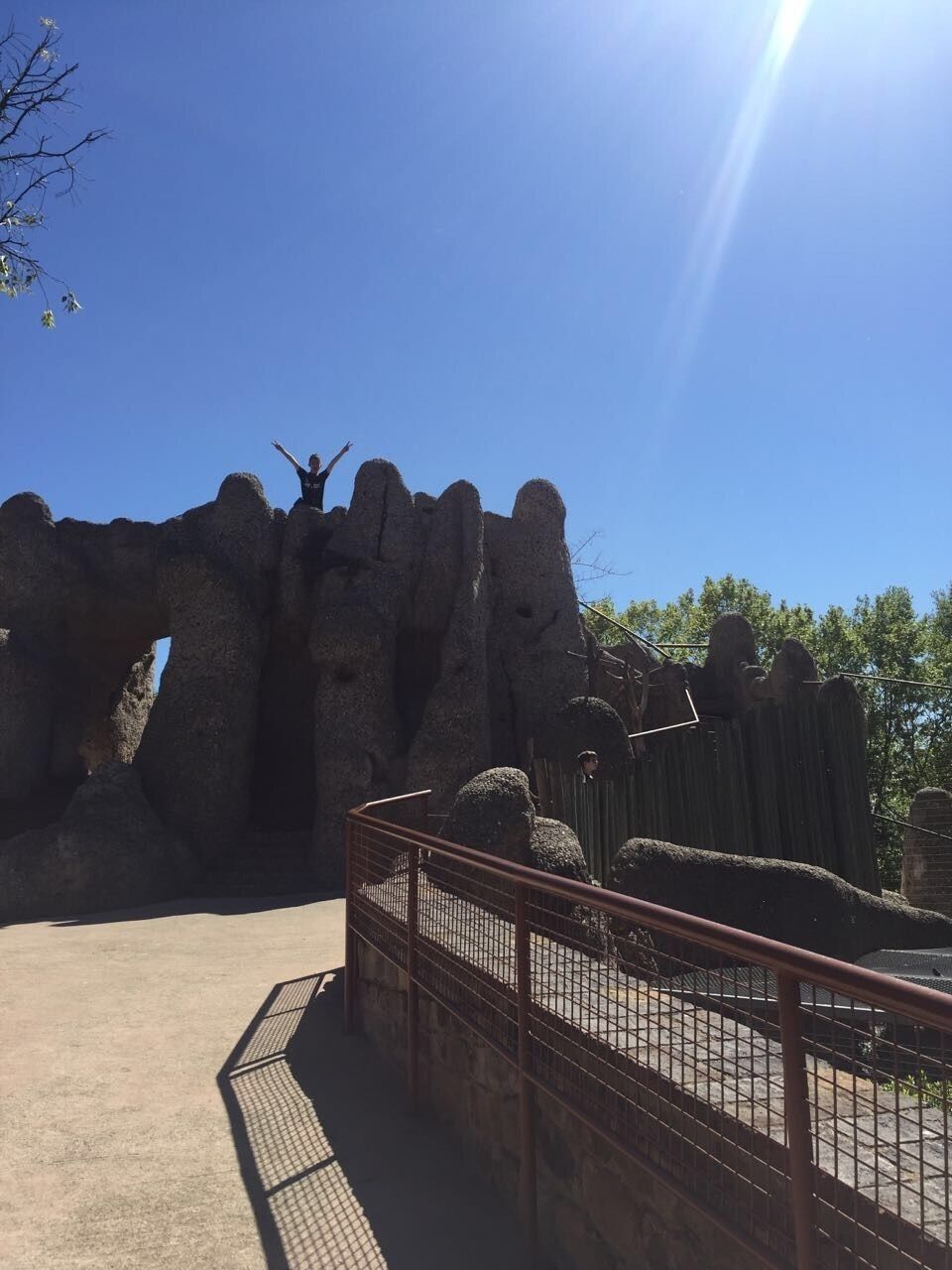 This was awesome, i loved all the animals and views!