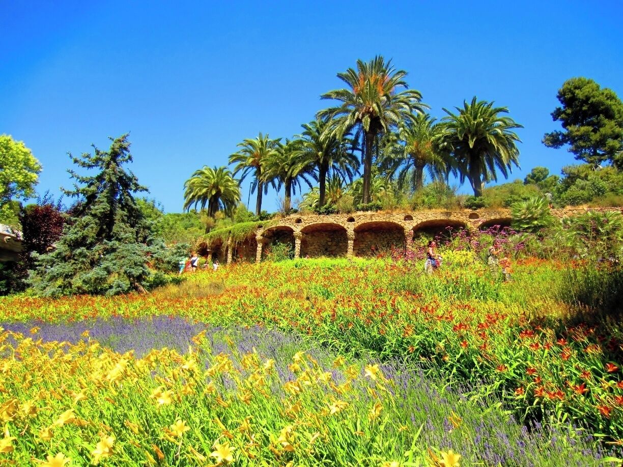 One of Gaudi's great masterpieces and gifts to Barcelona, Parc Güell, is a must visit.

This Willy Wonka-esque park overlooks the city and is filled with hidden gems at every corner: creative architecture, decor, lush gardens, and street performers abound. You can easily spend an entire day at the park. 